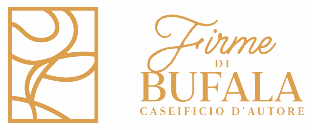 logo_footer